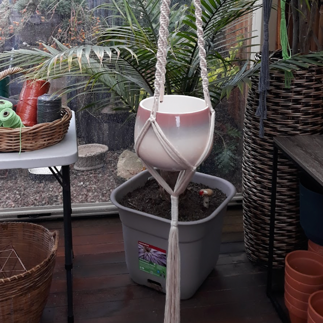 Cream Spiral with Pink Hombre Pot